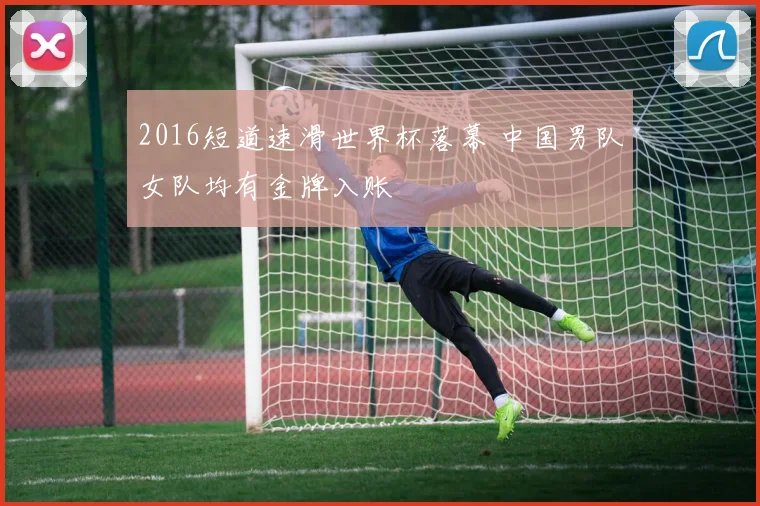 2016短道速滑世界杯落幕 中国男队女队均有金牌入账