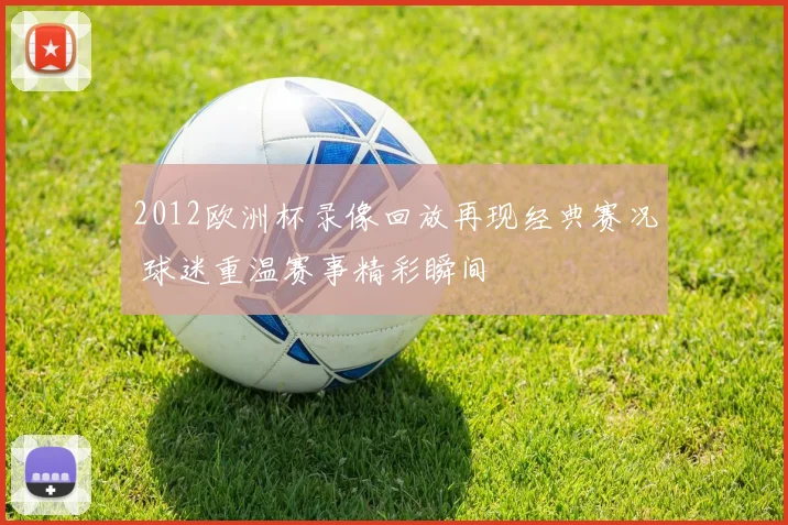 2012欧洲杯录像回放再现经典赛况 球迷重温赛事精彩瞬间
