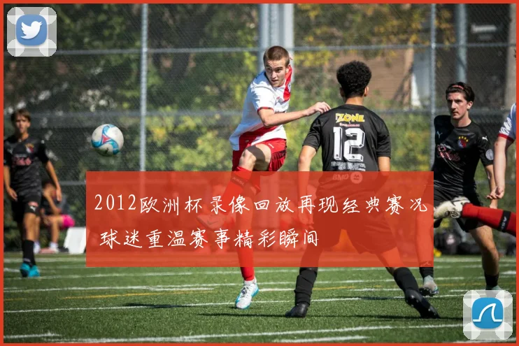 2012欧洲杯录像回放再现经典赛况 球迷重温赛事精彩瞬间