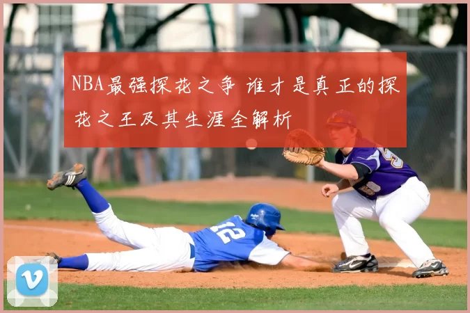 NBA最强探花之争 谁才是真正的探花之王及其生涯全解析