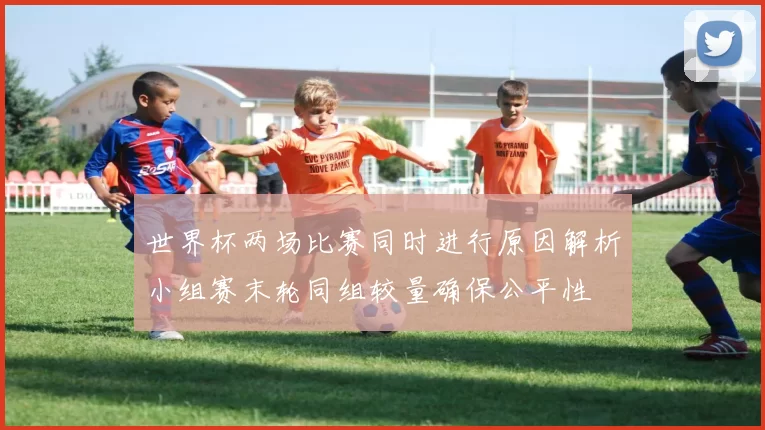 世界杯两场比赛同时进行原因解析小组赛末轮同组较量确保公平性